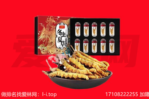 潮州回收虫草.jpg